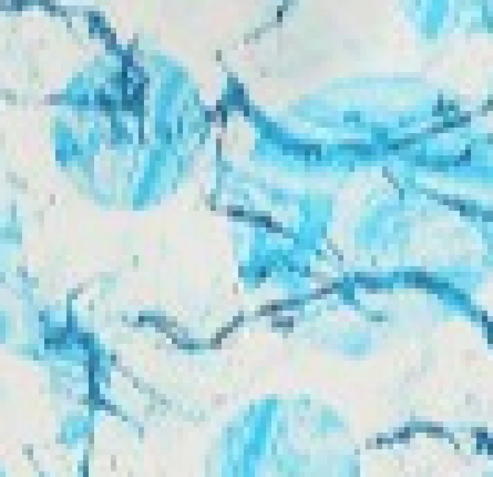 White & Blue Floral Halter Dress New