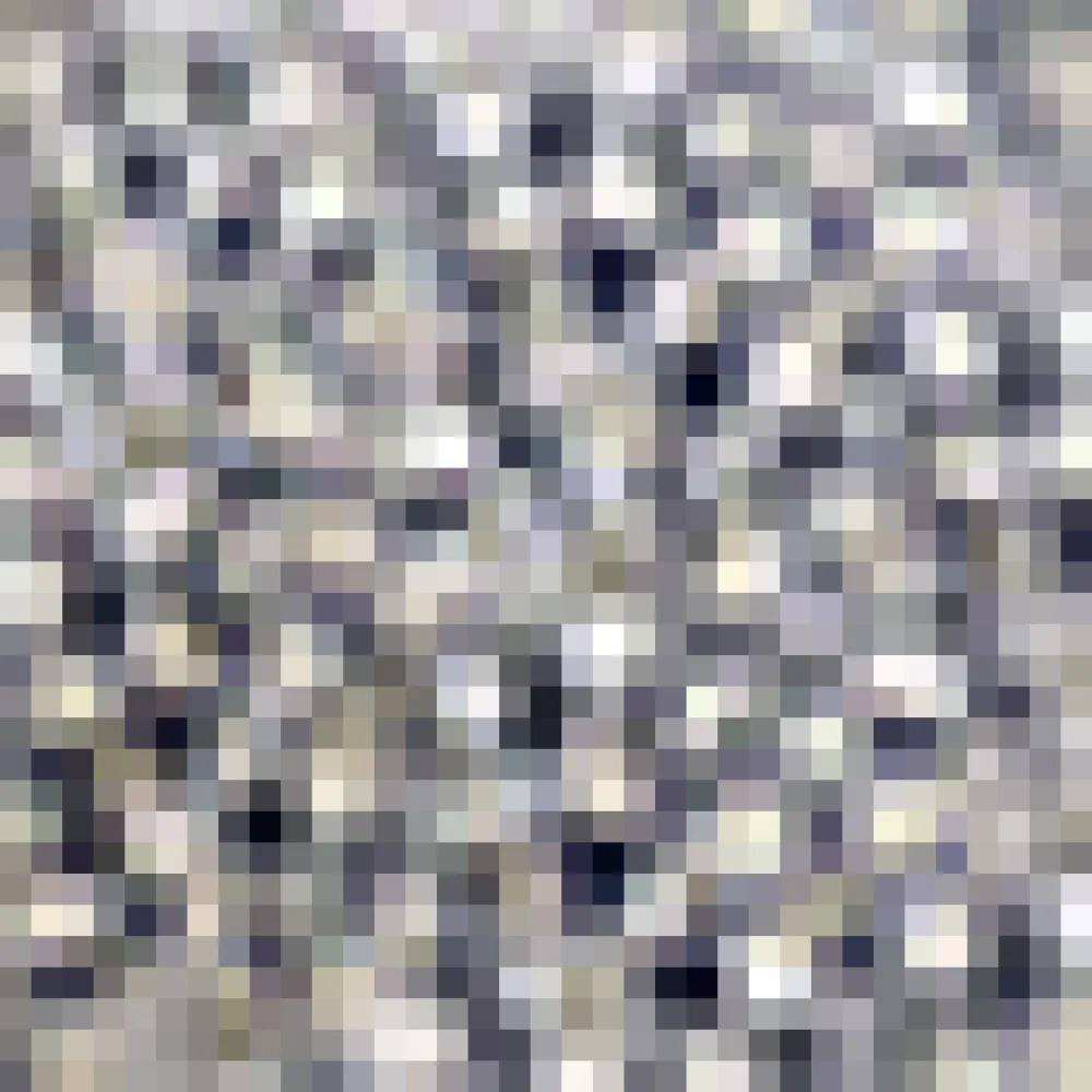 You Sassy Thing Skater Skirt Daisy Sale